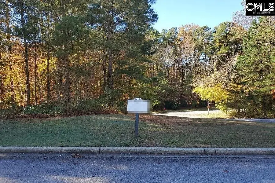 420 Links Crossing Drive, Blythewood, SC 29016 - #1
