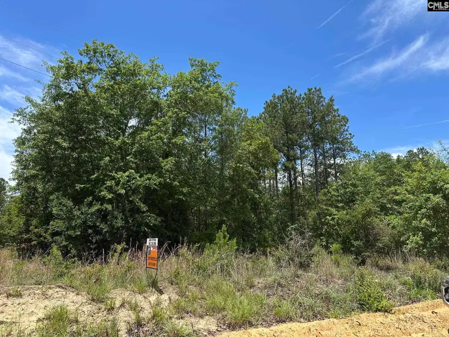 206 Bub Wise Road, Swansea, SC 29160 - #3