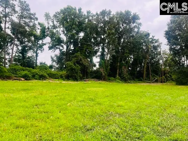 1161 Tom Moore Road, Leesville, SC 29070 - #1