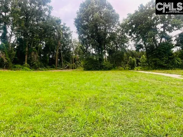 1161 Tom Moore Road, Leesville, SC 29070 - #3