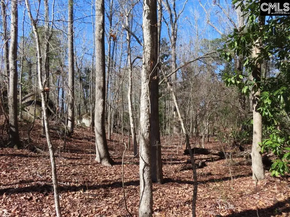 0 Rion Road, Winnsboro, SC 29180 - #1