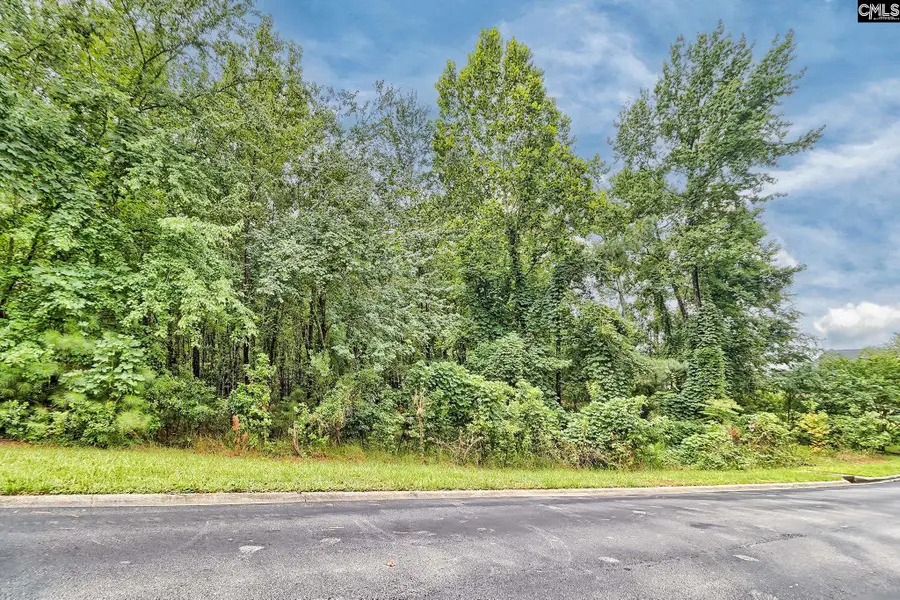 0 Kelsey Glen Drive, Lexington, SC 29072 - #3