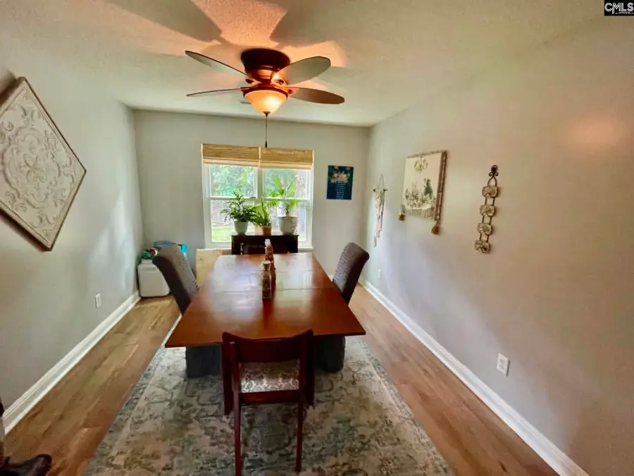 229 Stoney Pointe Drive, Chapin, SC 29036 - #3