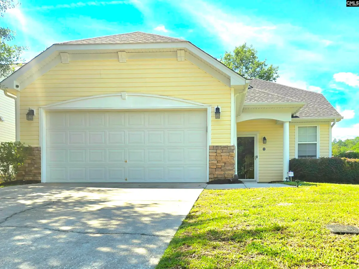 237 Wild Olive Drive, Columbia, SC 29229 - #1