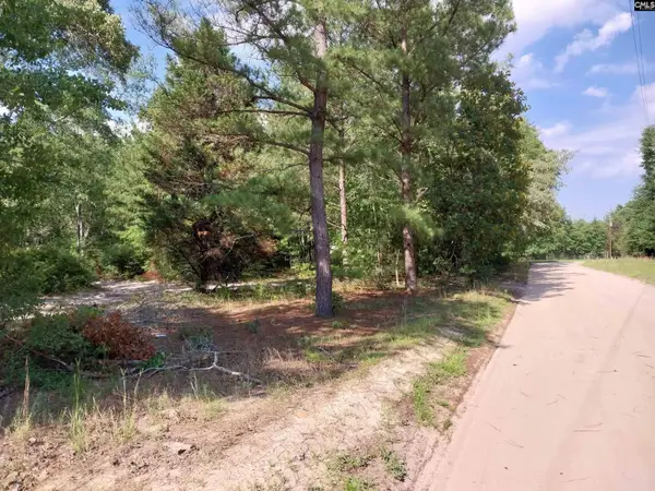 143 Tom Lucas Lane, Pelion, SC 29123