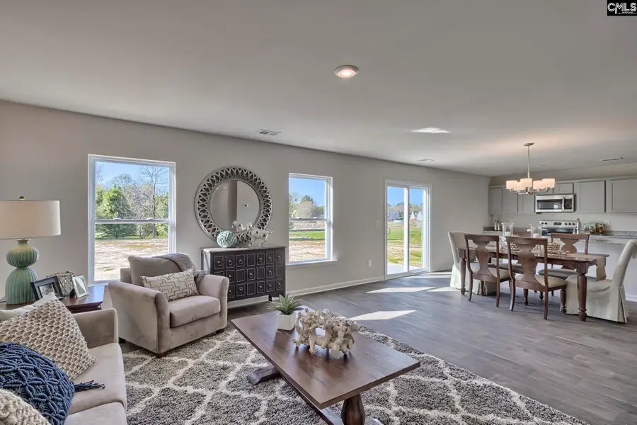 177 Calm Citadel Drive, Pelion, SC 29123 - #3