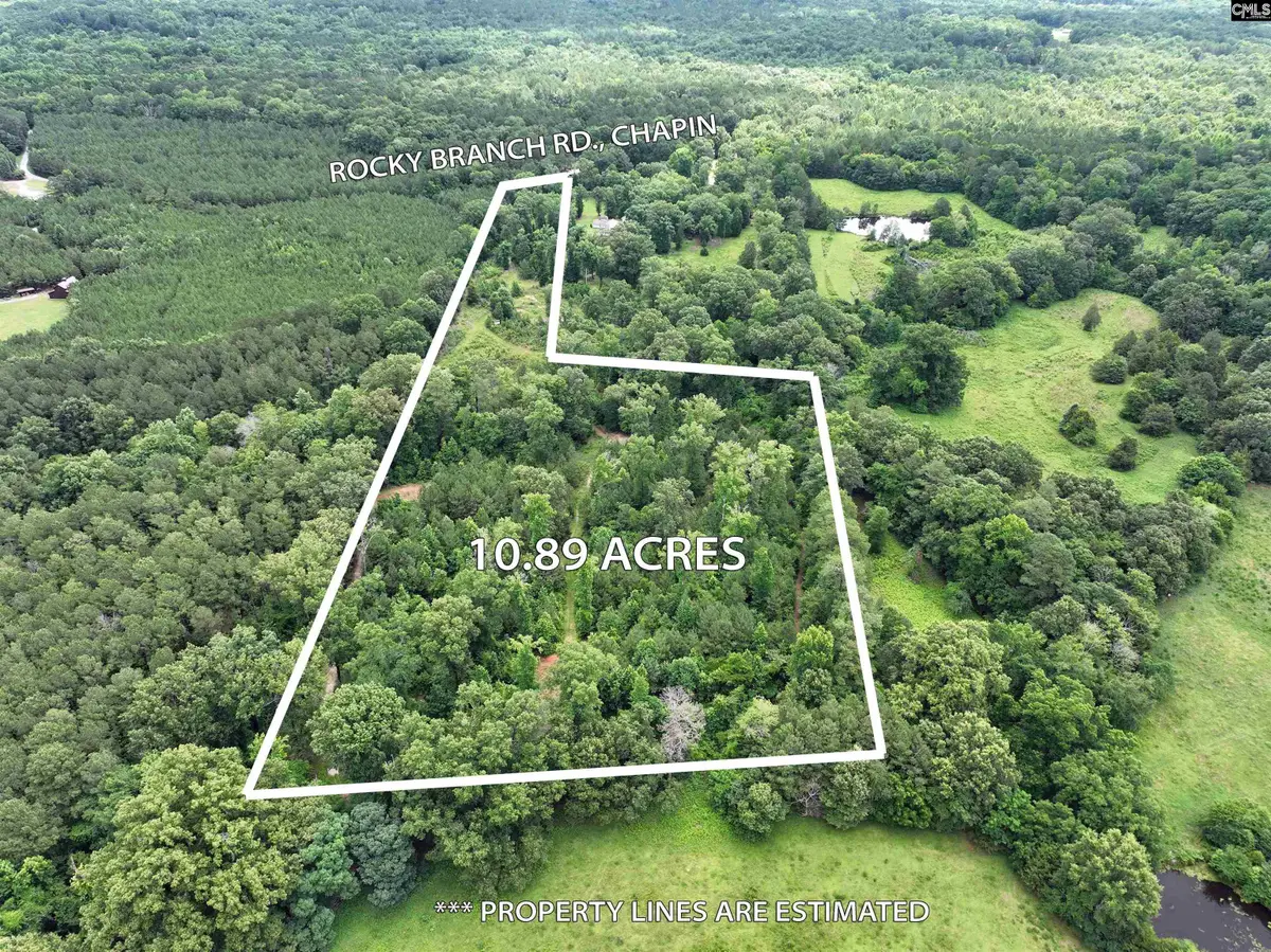 0 Rocky Branch Road, Chapin, SC 29036 - #1