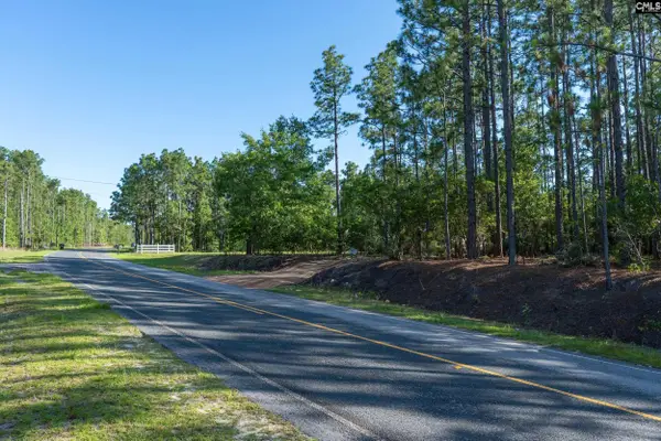 0 Pine Plain Road, Gaston, SC 29053