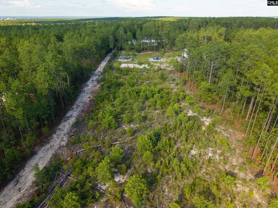 0 Pine Plain Road, Gaston, SC 29053 - #3