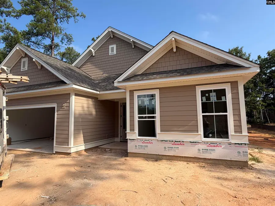 828 Elms Spinney Lane, Chapin, SC 29036 - #3