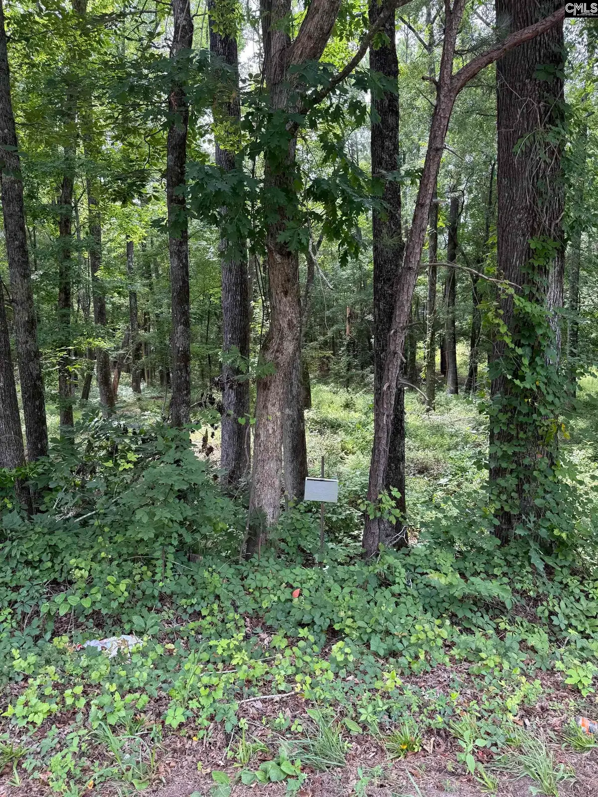 1409 Mullis Road, Blythewood, SC 29016 - #1