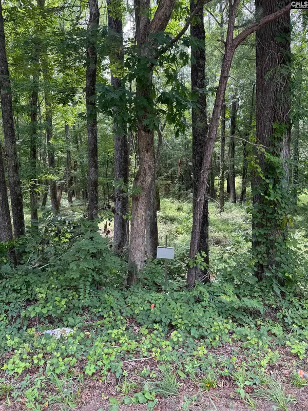 1409 Mullis Road, Blythewood, SC 29016