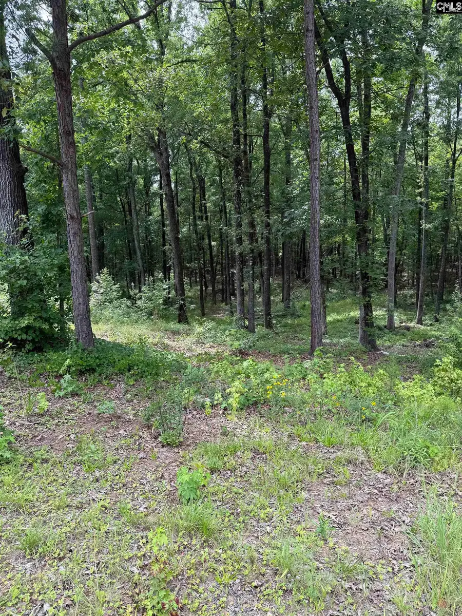 1409 Mullis Road, Blythewood, SC 29016 - #3
