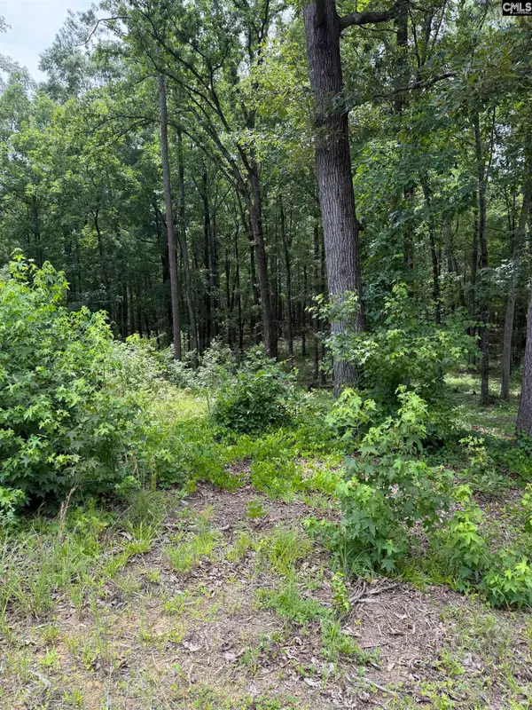1405 Mullis Road, Blythewood, SC 29016