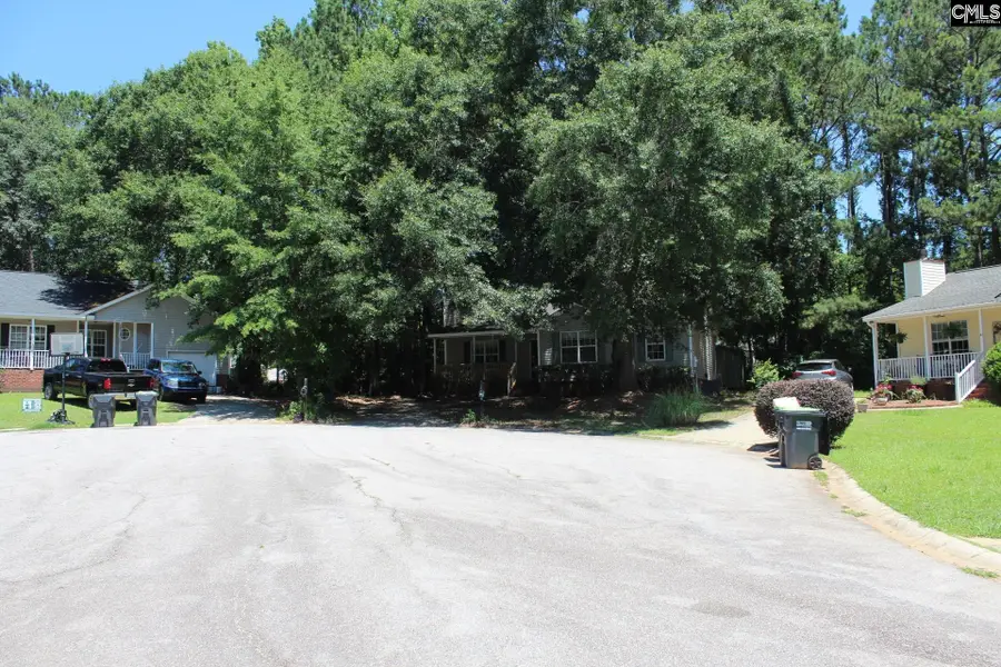 14 Holliston Court, Chapin, SC 29036 - #3