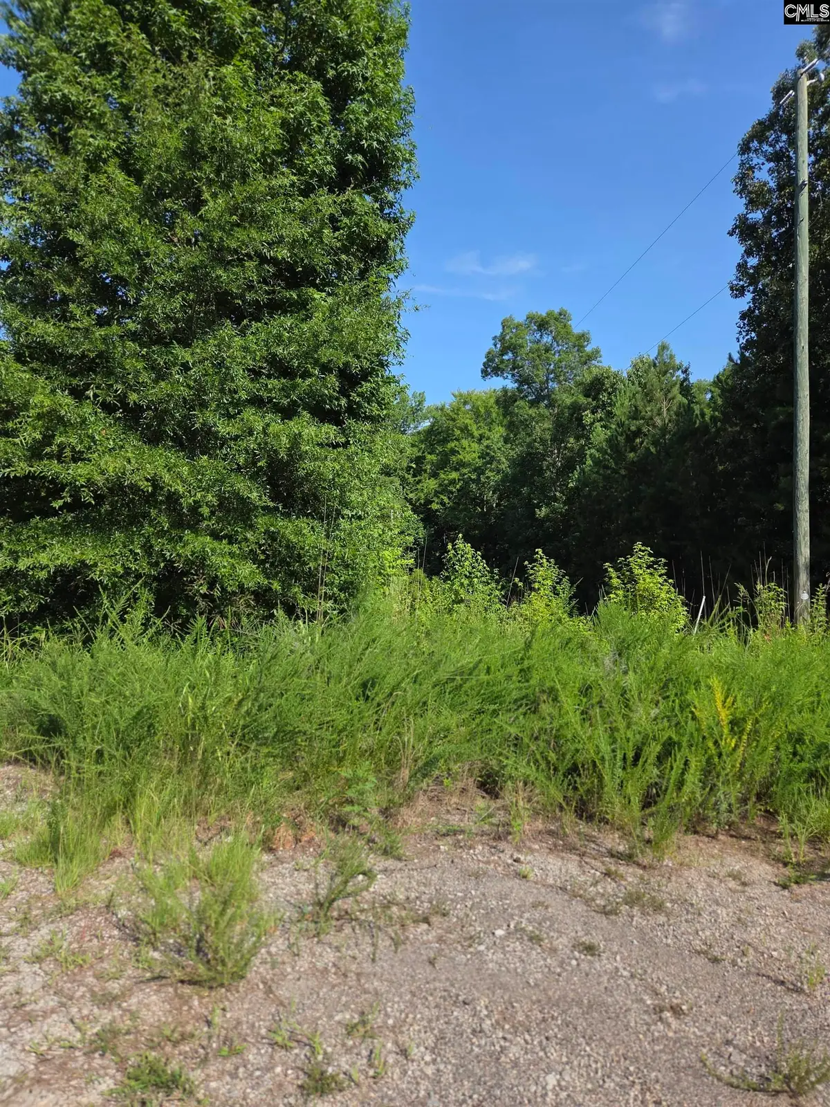Longleaf Court Lot 7, Ridgeway, SC 29130 - #1