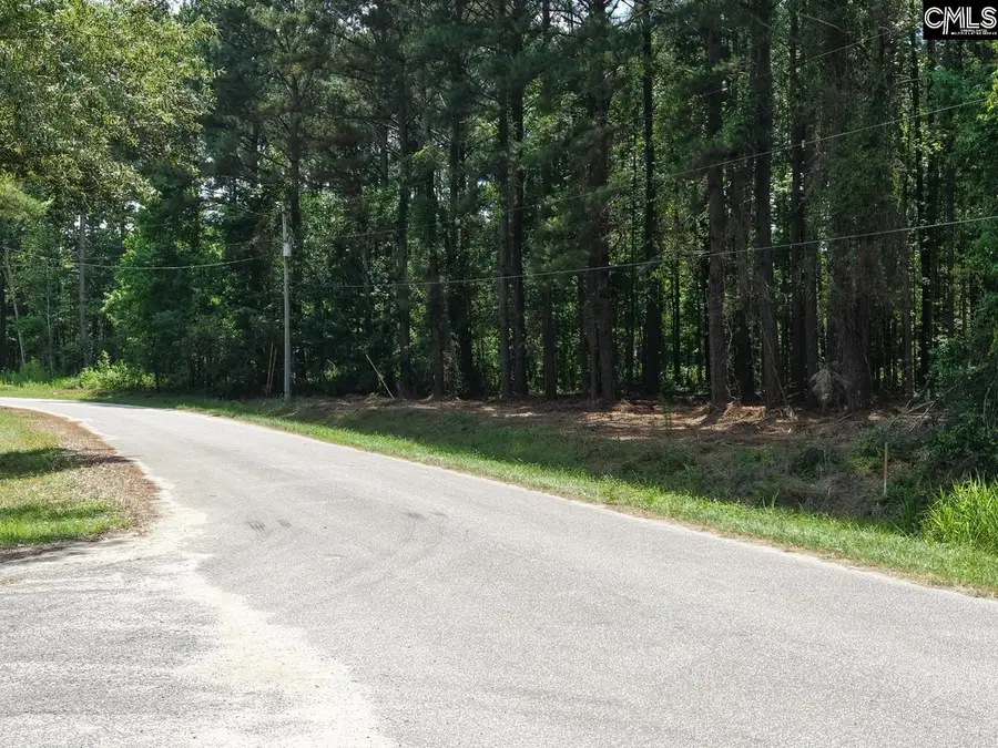 0 Peace Lane, Bowman, SC 29018 - #2