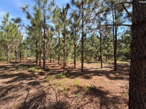 HRF 8 Holstein Road, Wagener, SC 29164