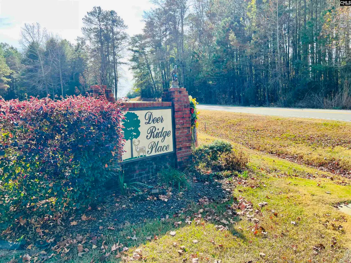 127 Deer Ridge Drive, Gilbert, SC 29054 - #1