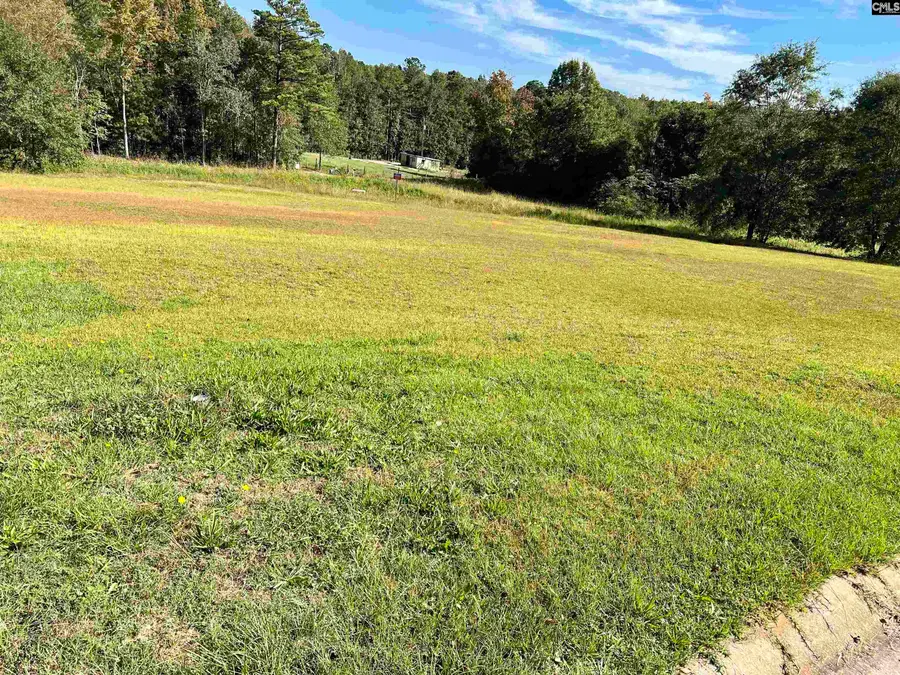 127 Deer Ridge Drive, Gilbert, SC 29054 - #2
