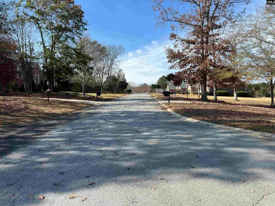 127 Deer Ridge Drive, Gilbert, SC 29054 - #3