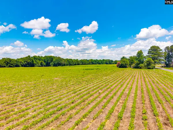 420 Windhamtown Road, Lamar, SC 29069