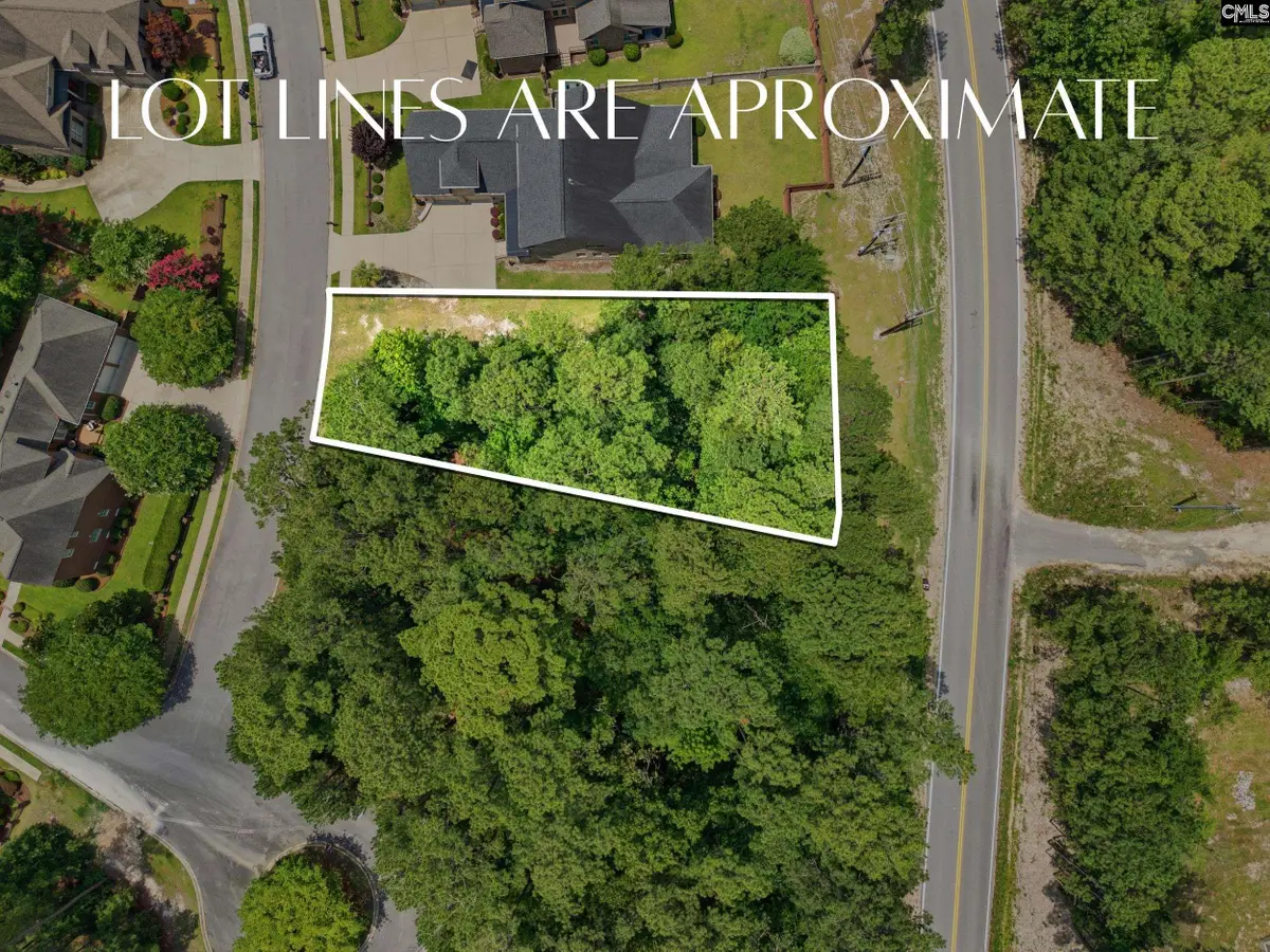 245 Upper Lake Drive, Elgin, SC 29045 - #1