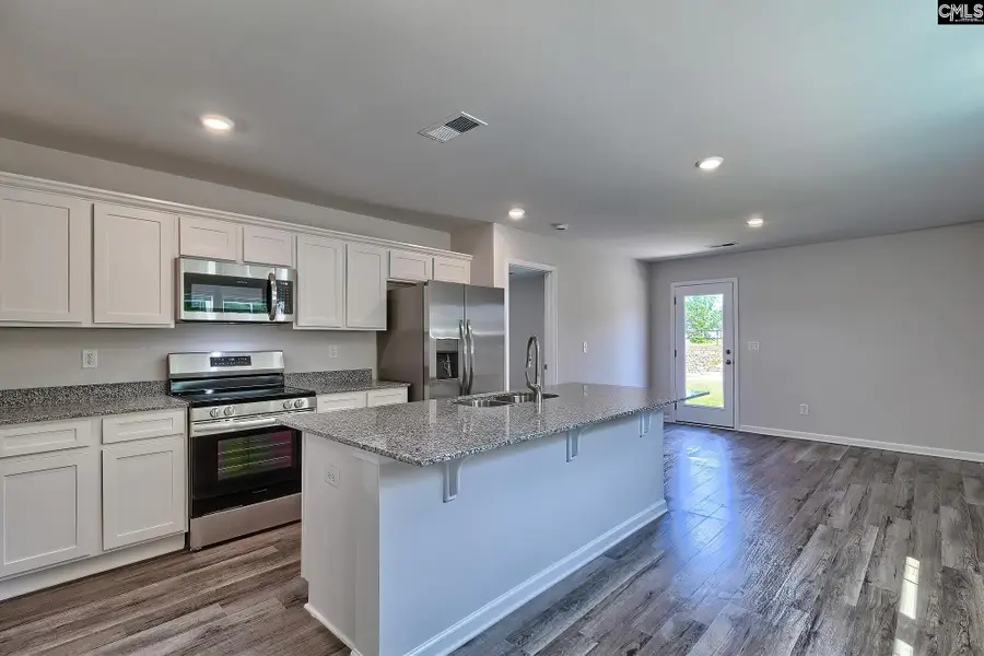 207 Calm Citadel Drive, Pelion, SC 29123 - #2