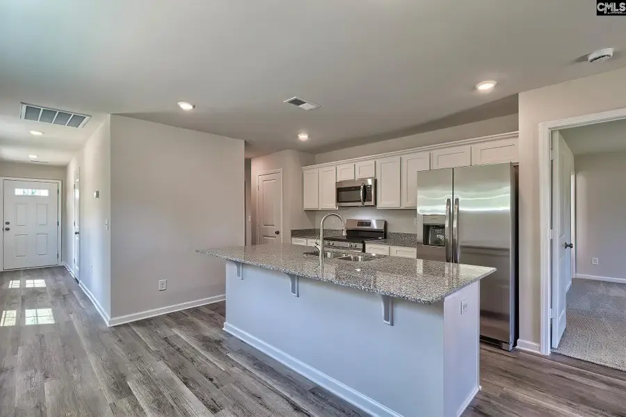 207 Calm Citadel Drive, Pelion, SC 29123 - #3