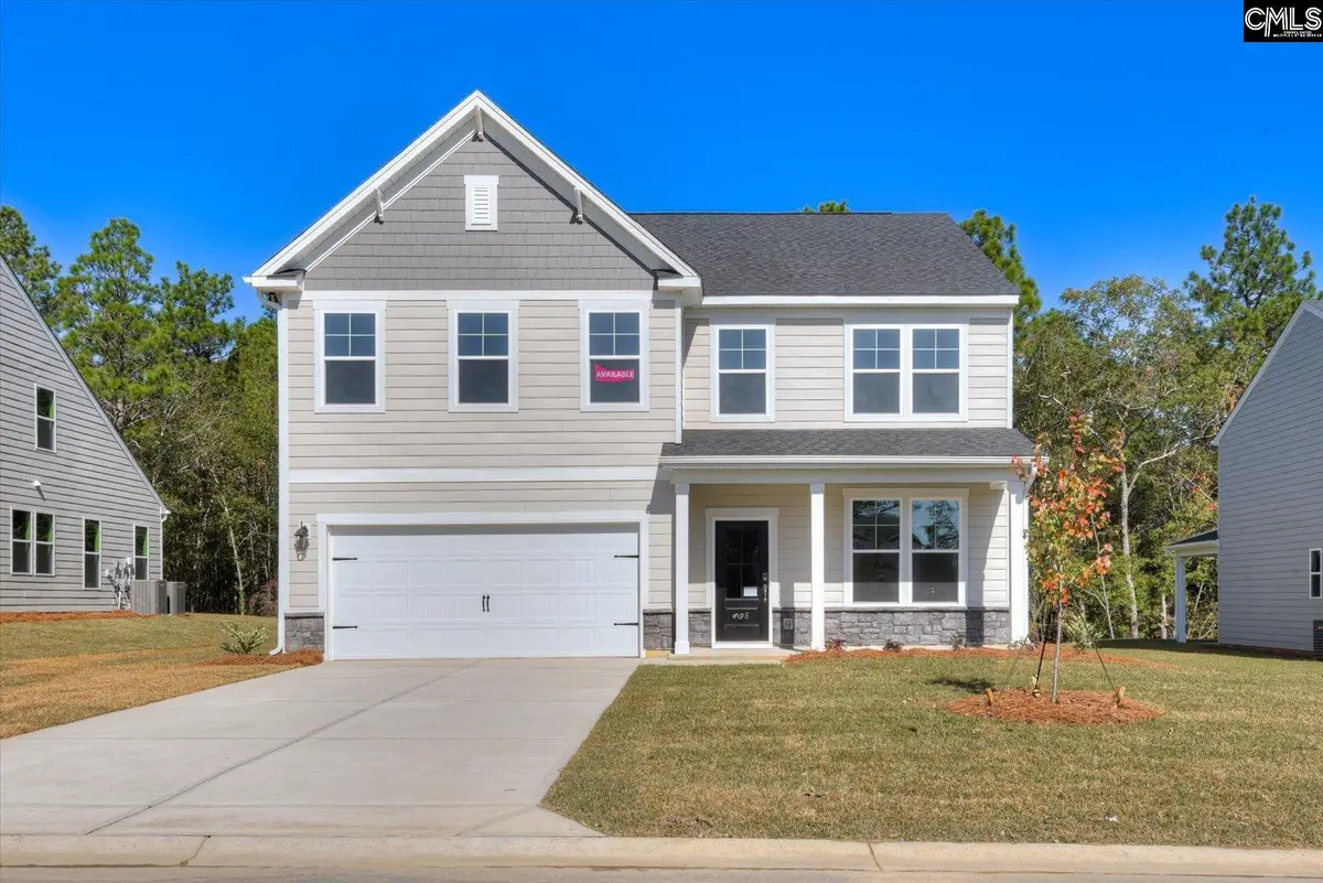 709 Feldspar Court, Chapin, SC 29036 - #1