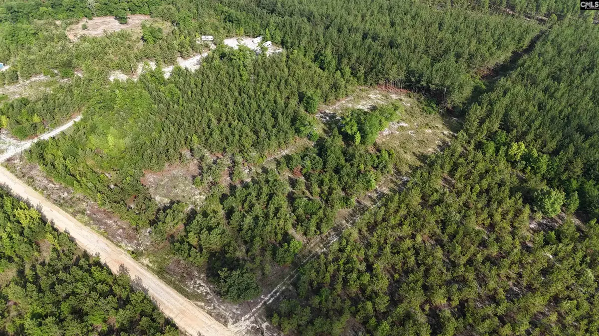 3091 Arcadia Road, Bethune, SC 29009 - #1