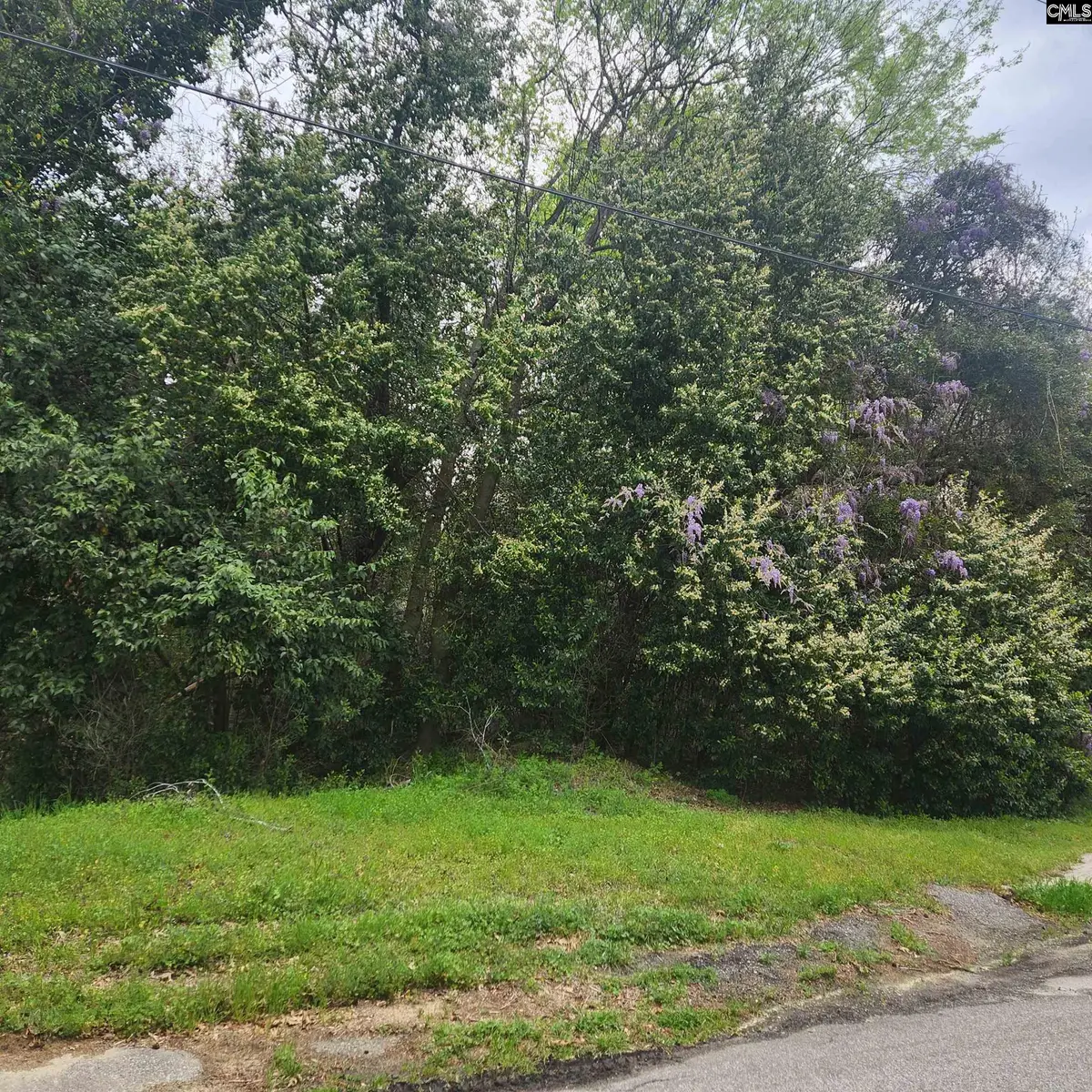 6430 Norris Street, Columbia, SC 29209 - #1