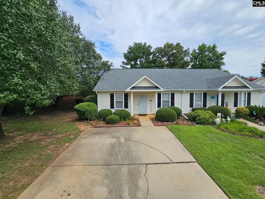 126 Fair Haven Way, Chapin, SC 29036 - #2
