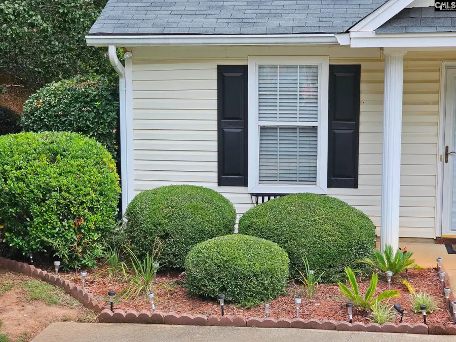 126 Fair Haven Way, Chapin, SC 29036 - #3