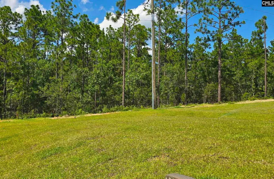 2526 Winning Colors Way, Lexington, SC 29073 - #3