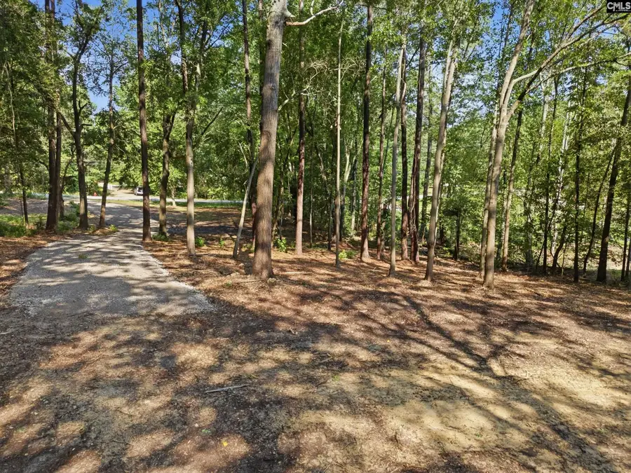 0 Harmon Street, Lexington, SC 29072 - #3