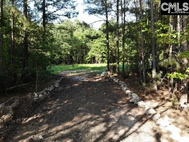 5583 Deadfall Road, Silverstreet, SC 29145 - #2