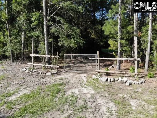 5583 Deadfall Road, Silverstreet, SC 29145 - #3