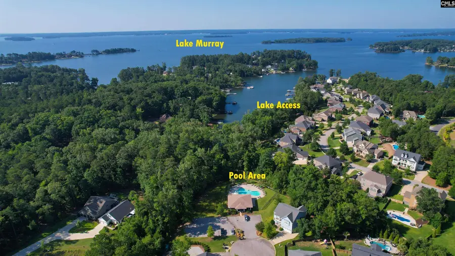 603 Riverdale Court, Chapin, SC 29036 - #2