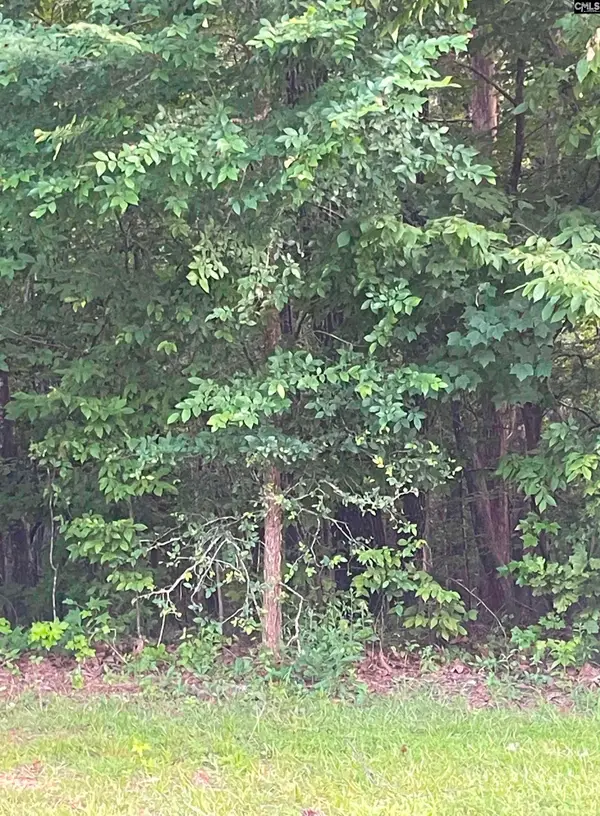 11 Otter Trail Court, Columbia, SC 29203