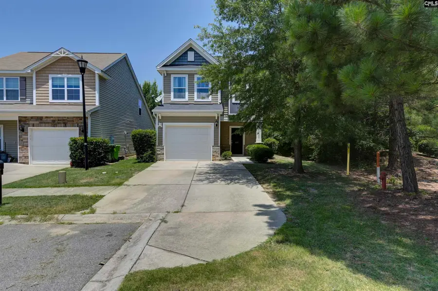 437 Lanyard Lane, Chapin, SC 29036 - #2