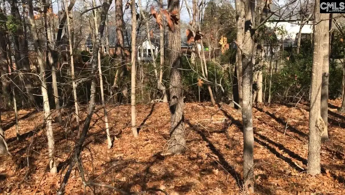326 Carola Lane, Lexington, SC 29072 - #1