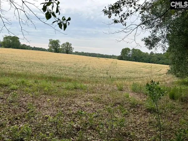 Bodie Road, Pelion, SC 29123