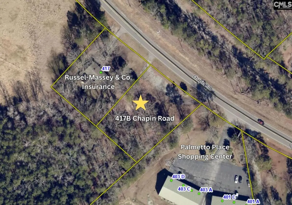 417B Chapin Road, Chapin, SC 29036 - #1