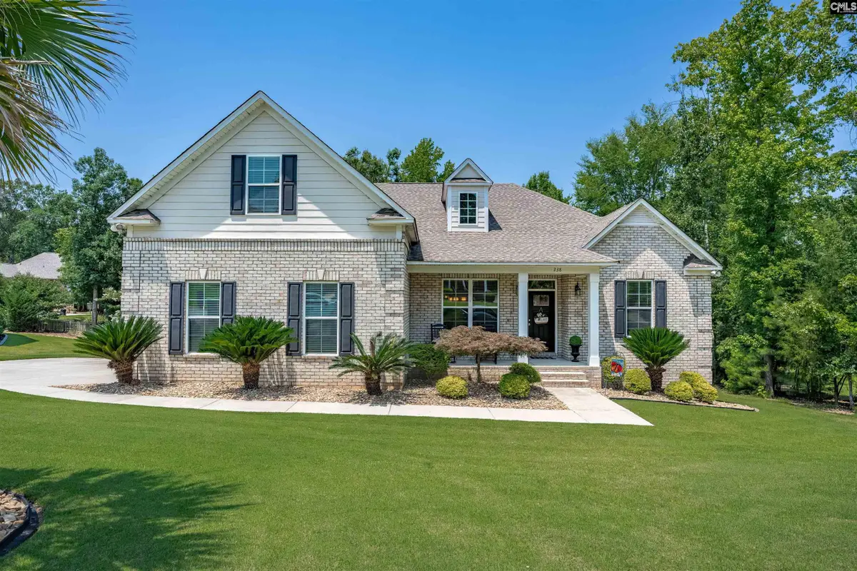 238 Hilton View Court, Chapin, SC 29036 - #1