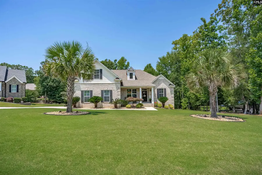 238 Hilton View Court, Chapin, SC 29036 - #2