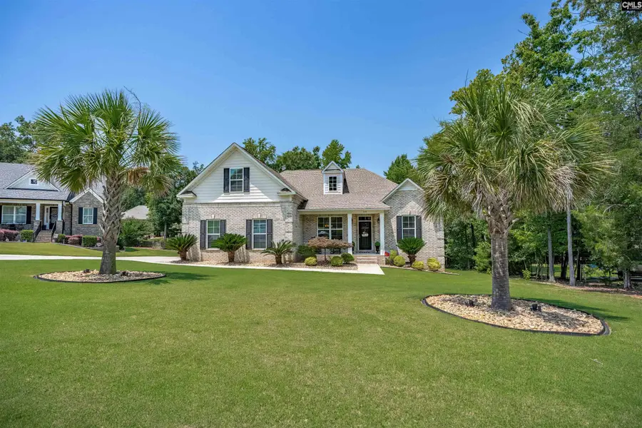 238 Hilton View Court, Chapin, SC 29036 - #3