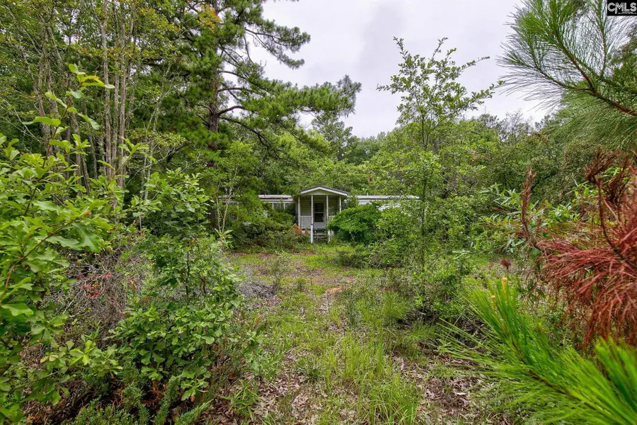 1326 Colie Branham Road, Lugoff, SC 29078 - #3