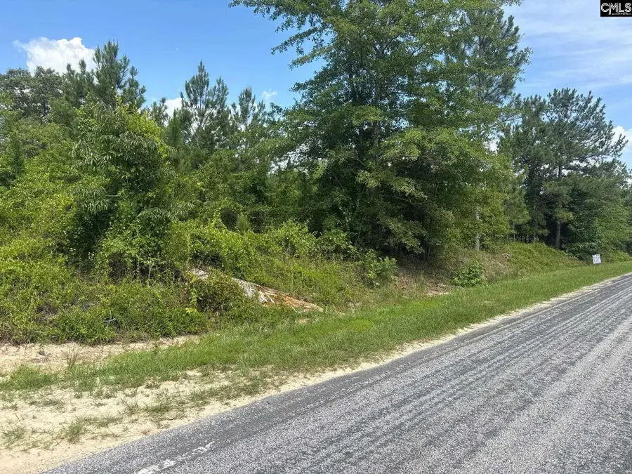 MPF 1 State Rd S-28-31 Road, Jefferson, SC 29718 - #2