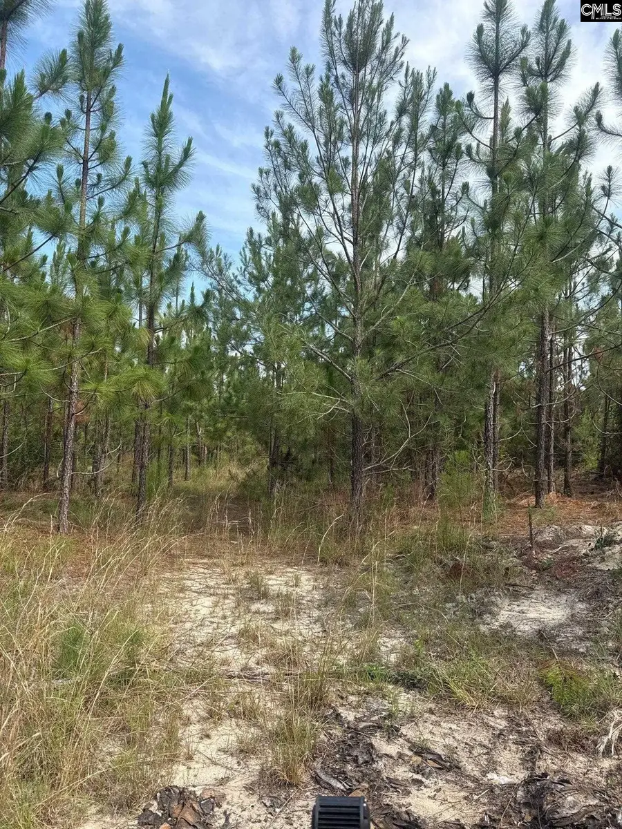 MPF 1 State Rd S-28-31 Road, Jefferson, SC 29718 - #3
